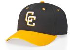 212 Pro Cotton SnapBack Adjustable Hat by Richardson Caps