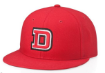 PTS65 Surge Fitted Hat by Richardson Caps