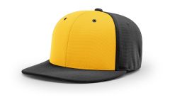 PTS20 Gold Black ALT