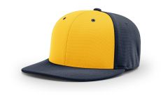 PTS20 Gold Navy ALT